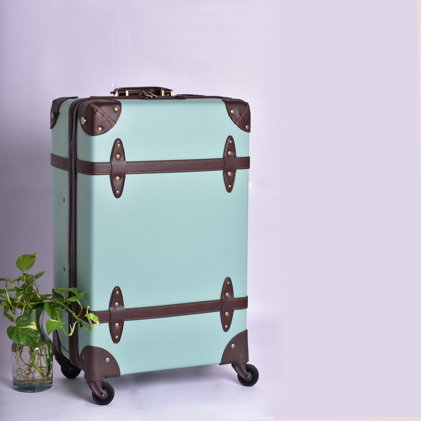 Vintage Spinner - Mint