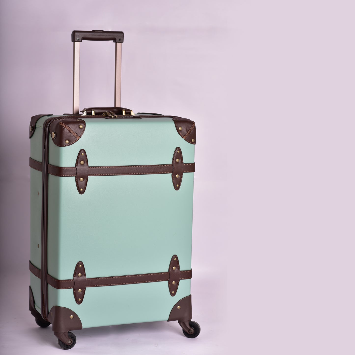 Vintage Spinner - Mint