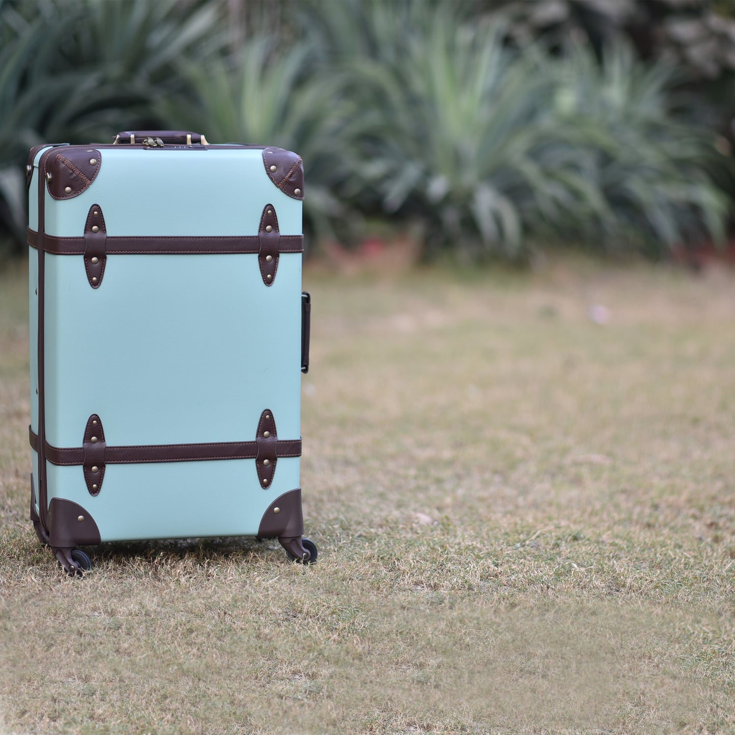 Vintage Spinner - Mint